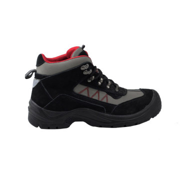 Trainer Safety Shoes with CE Certificate (sn1511)